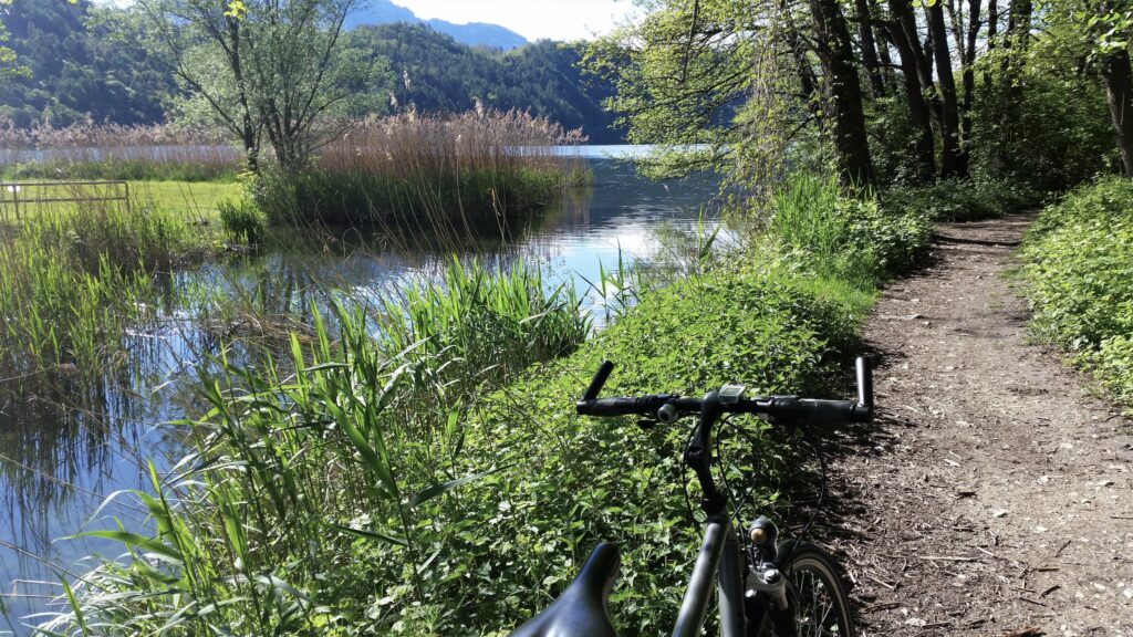 A picture of a green field, and a canal in the midground with the top of a bike in the foreground. 